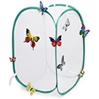 Hyindoor Jaula de Mariposa Incectos Mini Hábitat Terrario Pop up Plegable para exploración y protección(40x40x60cm)